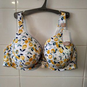 Cacique 44D Lightly Lined T-Shirt Bra